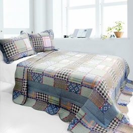 Mixed Feelings - 3 Pieces Cotton Vermicelli-Quilted Printed Quilt Set  Full & Queen Size - Multicolor