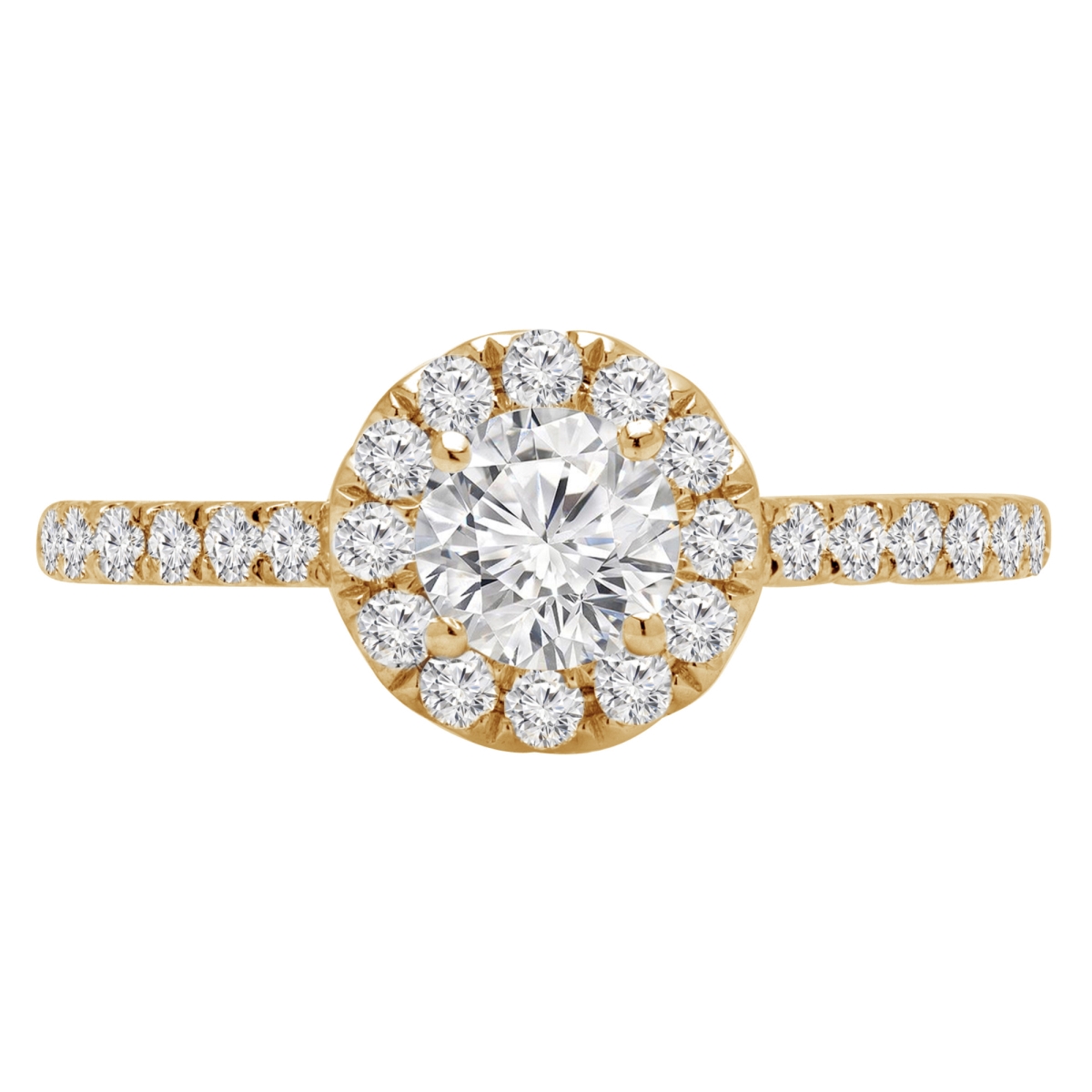 MD210288-3 0.8 CTW Round Diamond Cathedral Halo Engagement Ring in 14K Yellow Gold - Size 3