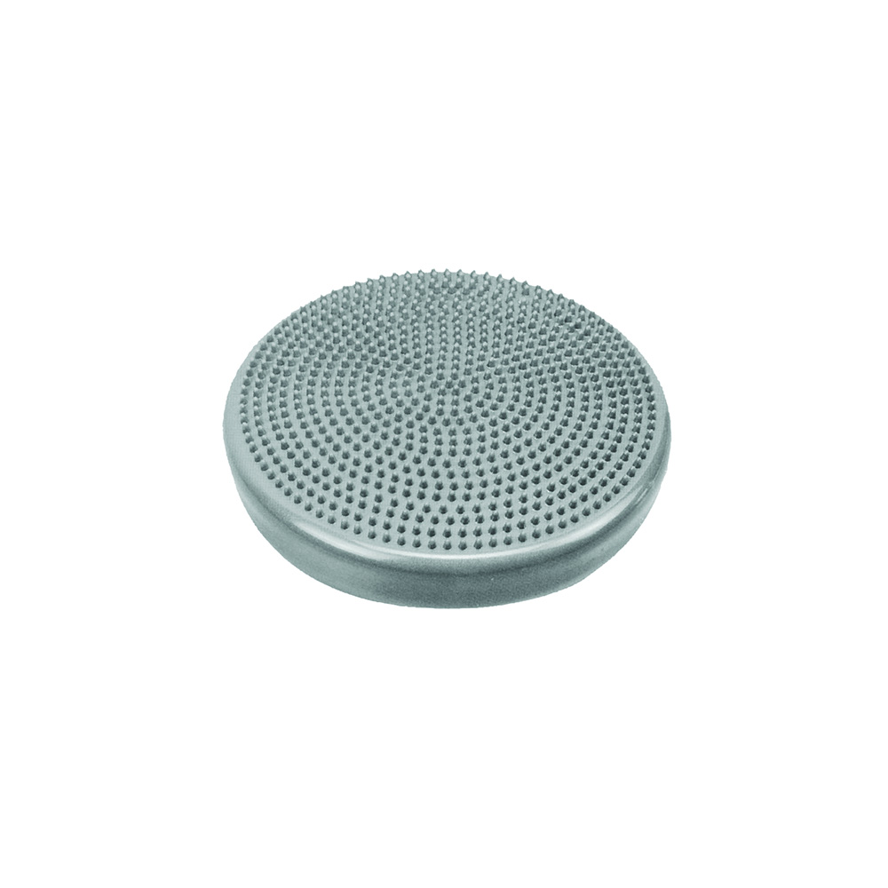 CanDo Exercise Disc - Silver - 2in. Thick - Dynamic Balance Trainer