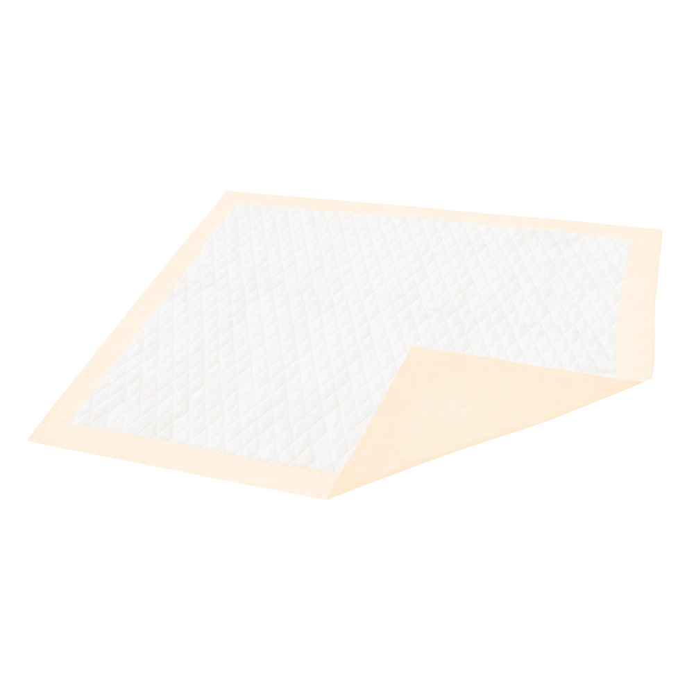 CNC333607 30 x 36 in. Dignity Ultrashield Plus Underpads - 10 per Bag