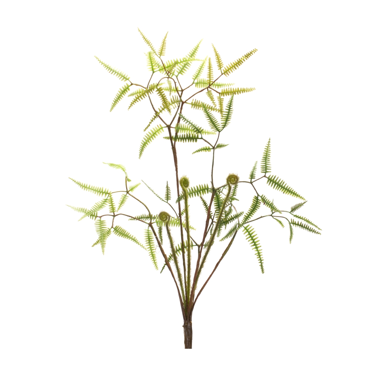 Picture of Melrose International 85358DS 19 in. Plastic Mini Fern Bush&#44; Green - Set of 6
