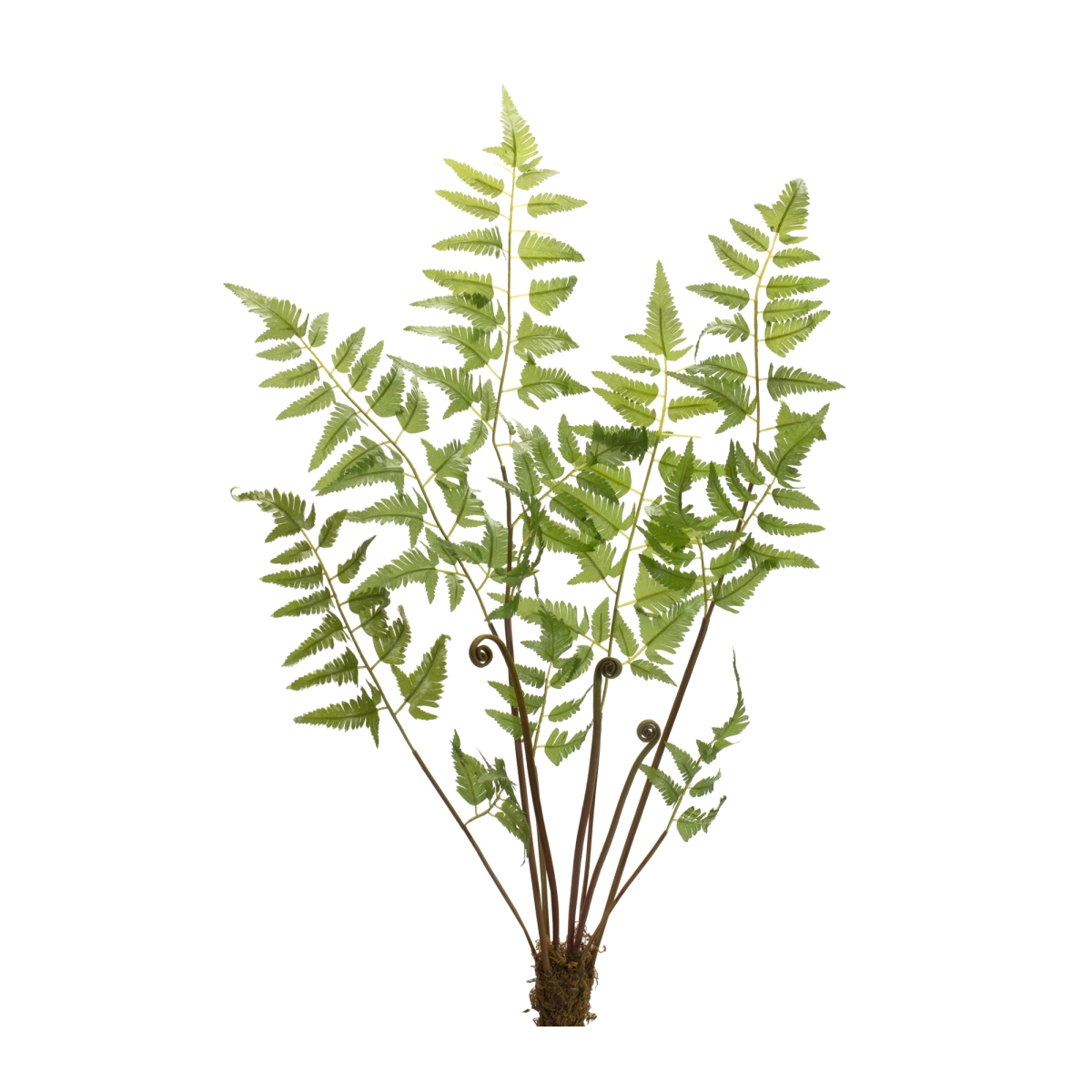 37 in. Polyester Fern Bundle, Green - Set of 6