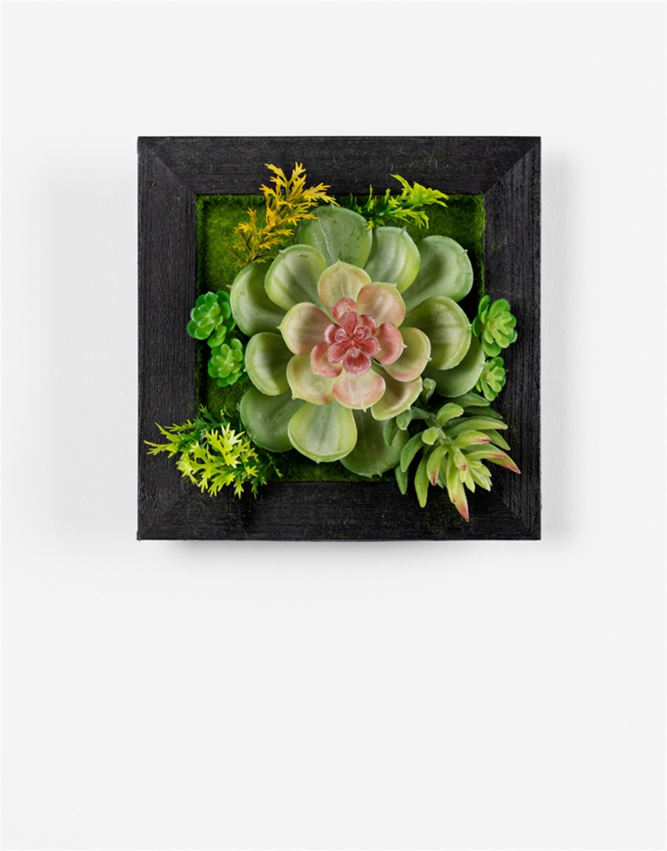75575DS Plastic Hanging Succulent Wall Decor - Set of 6