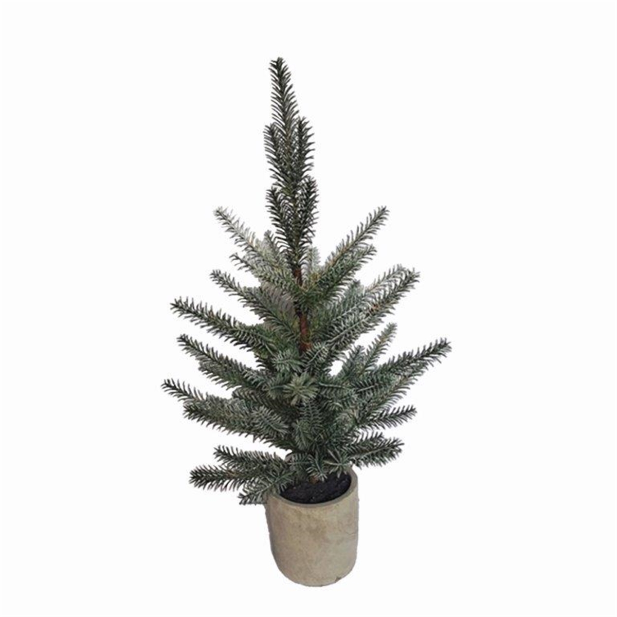 Pine Tree in Plastic Pot - Set of 2