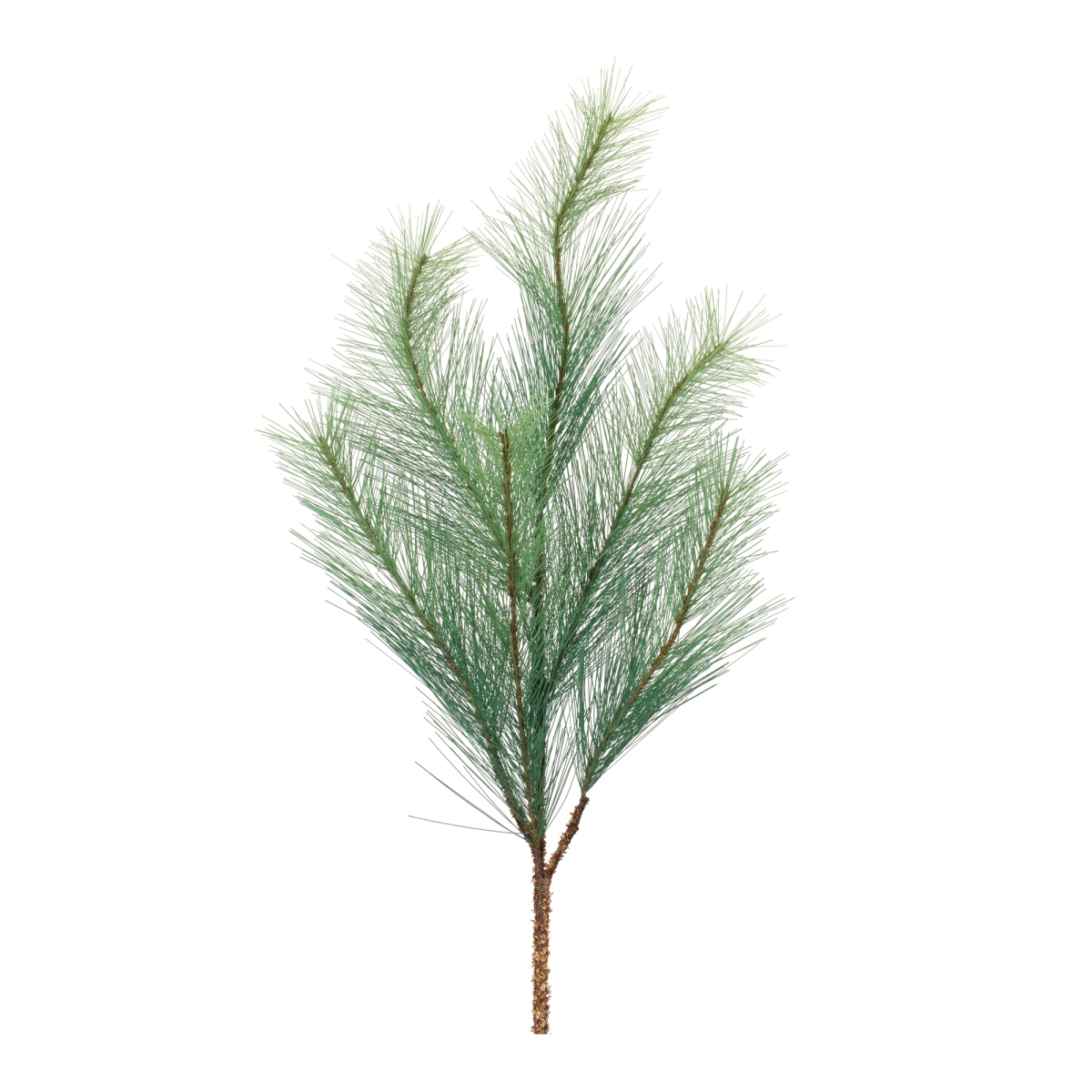 Long Needle Pine Spray - Set of 6