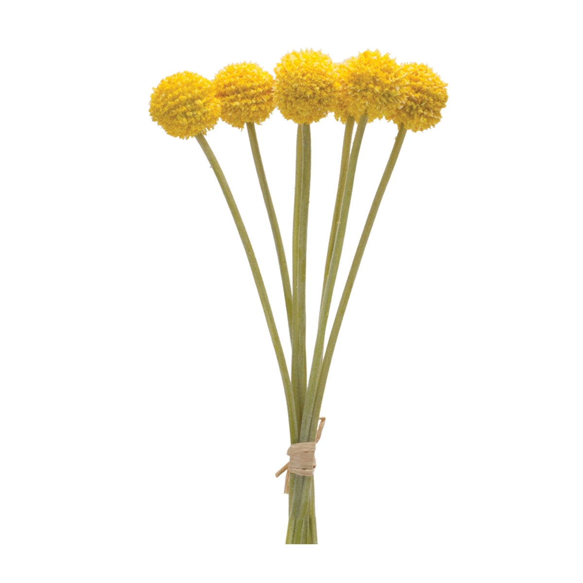 88358DS Artificial Pod Bundle - Set of 6