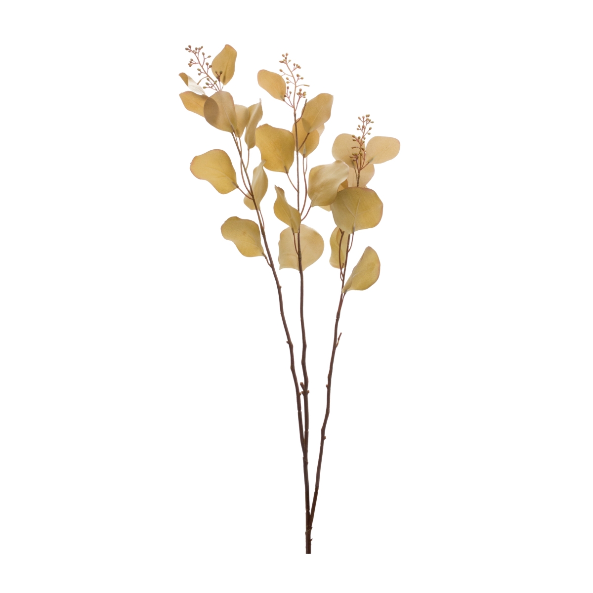 Eucalyptus Stem - Brown - Set of 2 - Durable Polyester Material