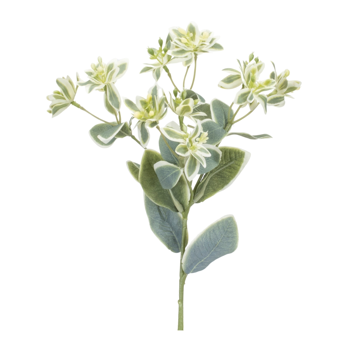 18.5 in. Polyester Euphorbia Spray, Green & White - Set of 6