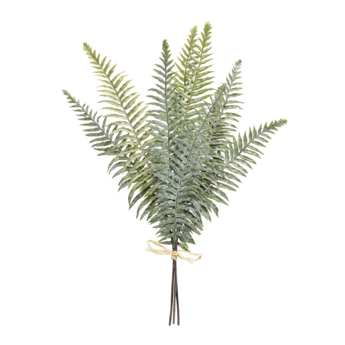 92806DS 20 in. Plastic Fern Bundle, Green - Set of 2