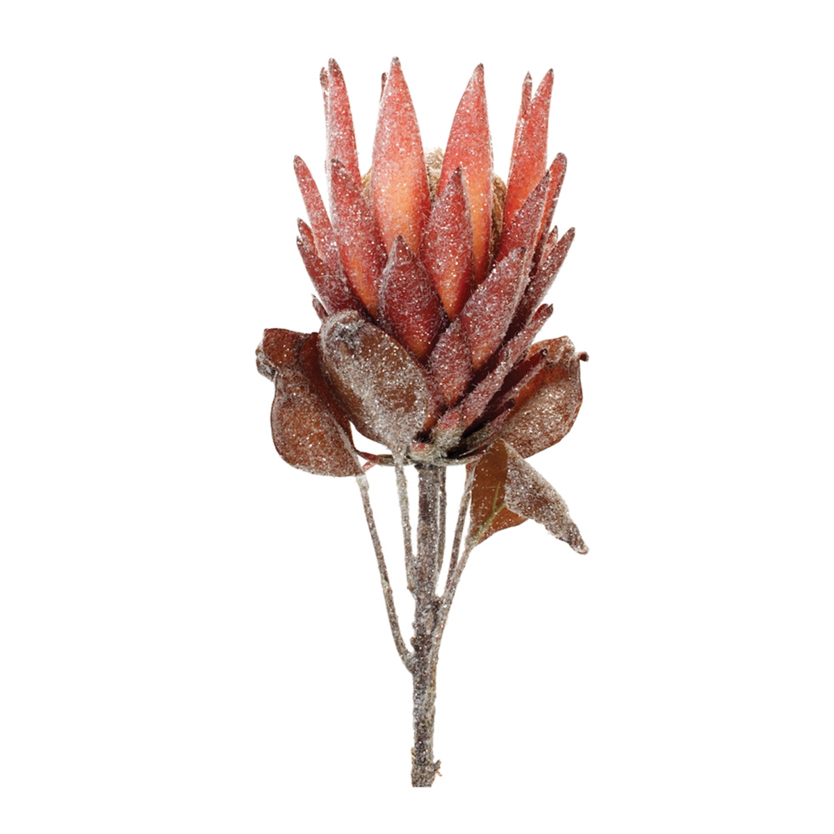 29 in. Polyester Protea Stem, Red & Orange - Set of 2