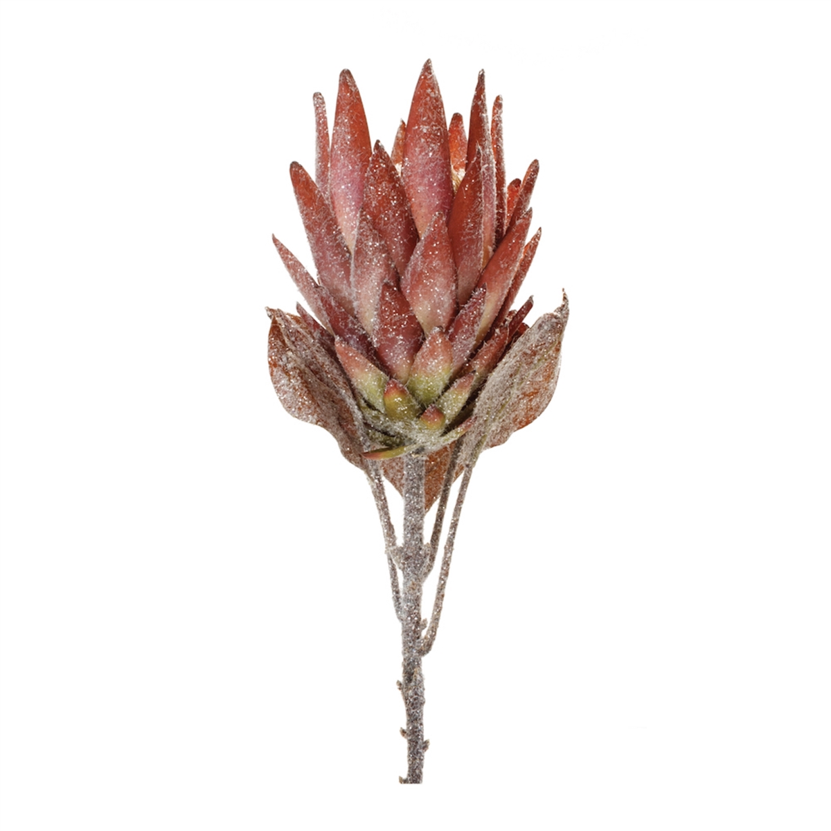 29 in. Polyester Protea Stem, Orange & Green - Set of 2