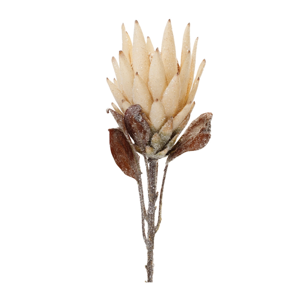 29 in. Polyester Protea Stem, Beige & Brown - Set of 2