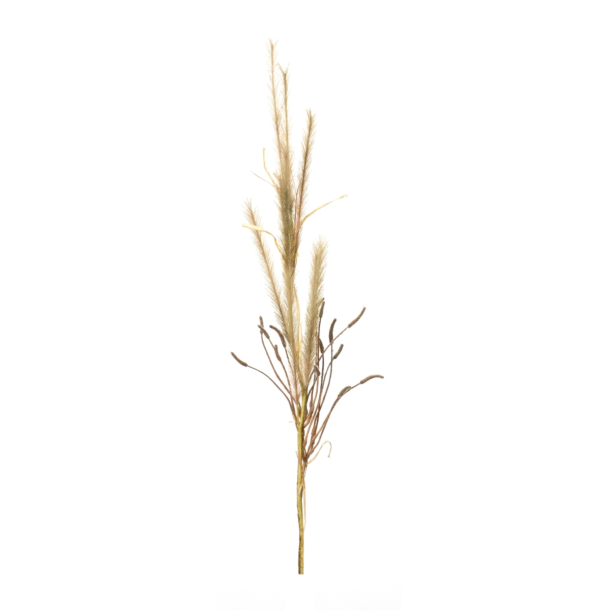 Fox Tail Artificial Flowers - Brown - Set of 2 - Elegant Home Decor Accent