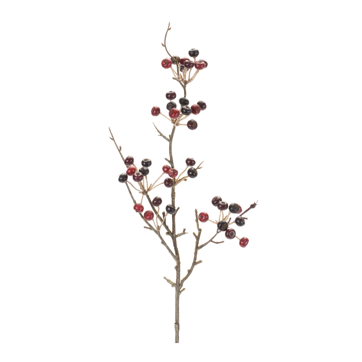 26 in. Foam & Plastic Berry Pod Spray, Red - Set of 6
