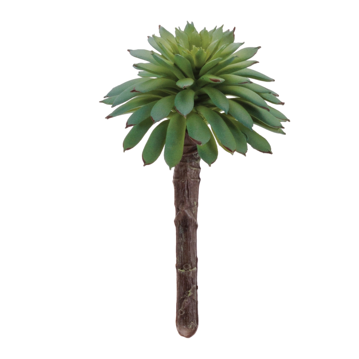 96592DS 4 in. Plastic Succulent, Green - Set of 12