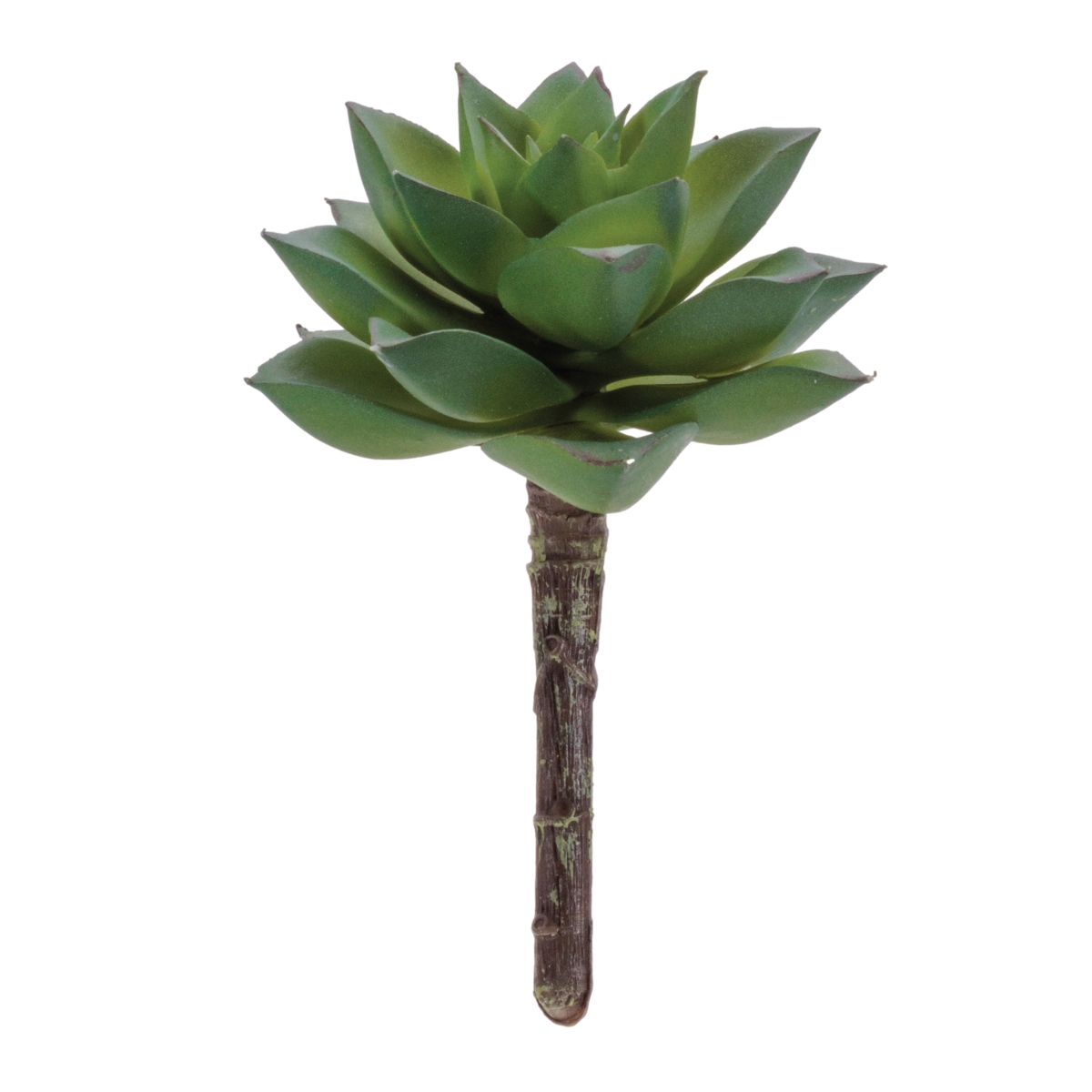 Picture of Melrose 96589DS 4.25 in. Plastic Succulent&#44; Green - Set of 12