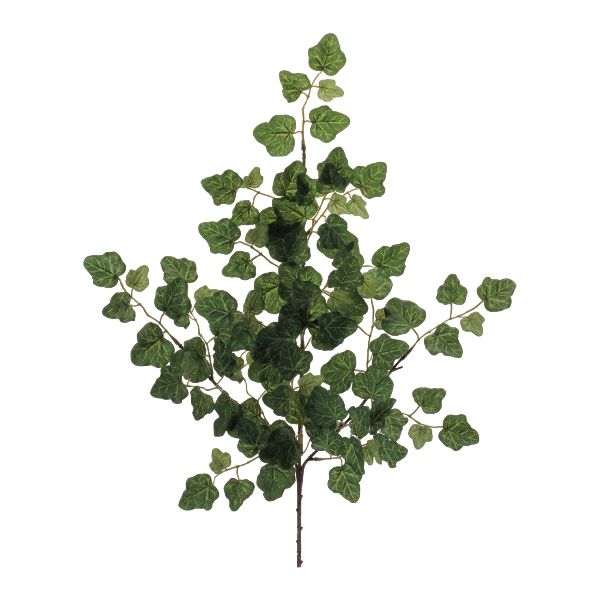 Picture of Melrose 96984DS 25 in. Polyester Ivy Spray&#44; Green - Set of 6
