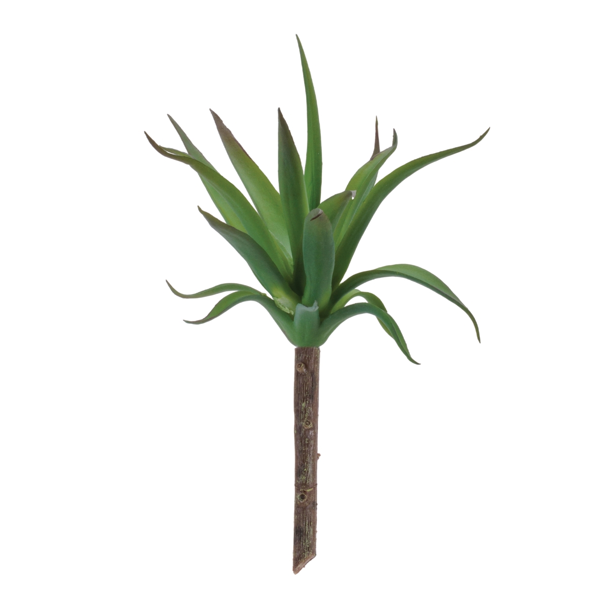 96588DS 8.75 in. Plastic Succulent, Green - Set of 6