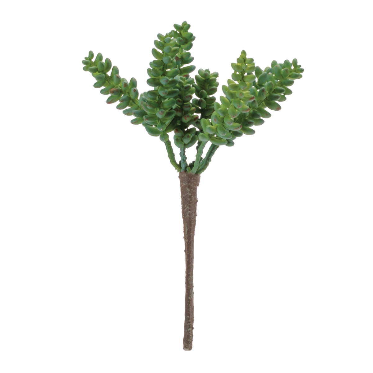 96590DS 8 in. Plastic Succulent, Green - Set of 6