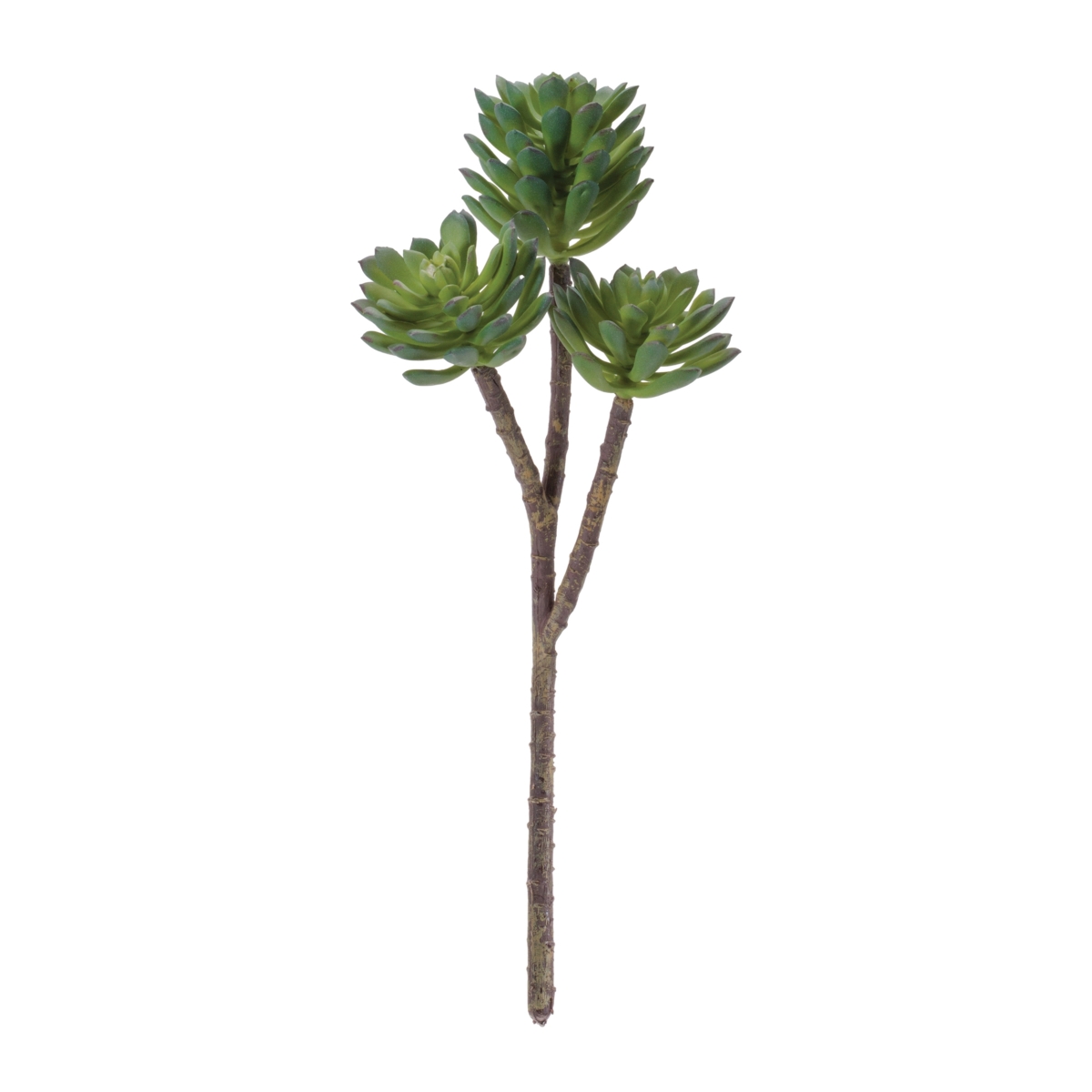 Picture of Melrose 96581DS 11 in. Plastic Succulent&#44; Green - Set of 6