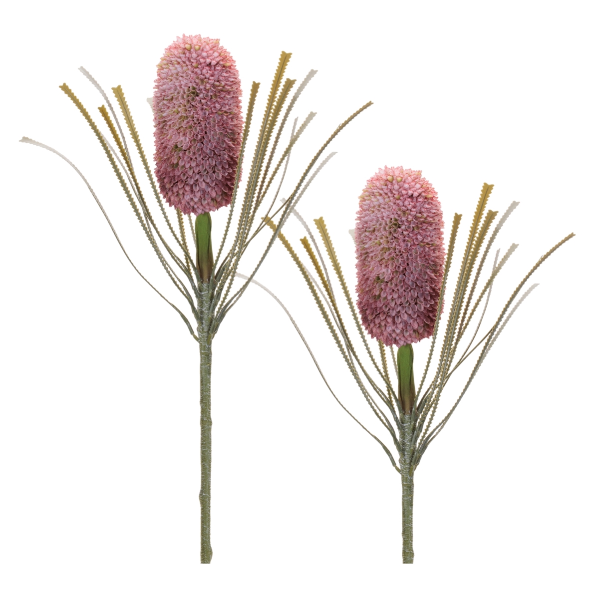96865DS 28 in. Plastic Protea Stem, Red & Green - Set of 2