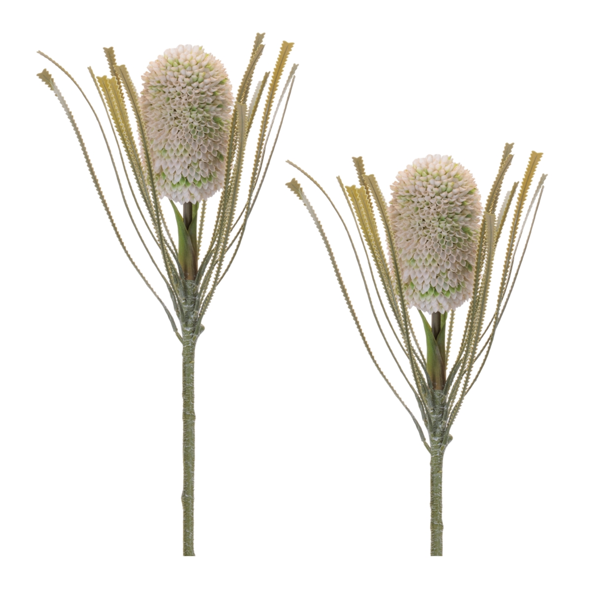 96866DS 28 in. Plastic Protea Stem, Green - Set of 2