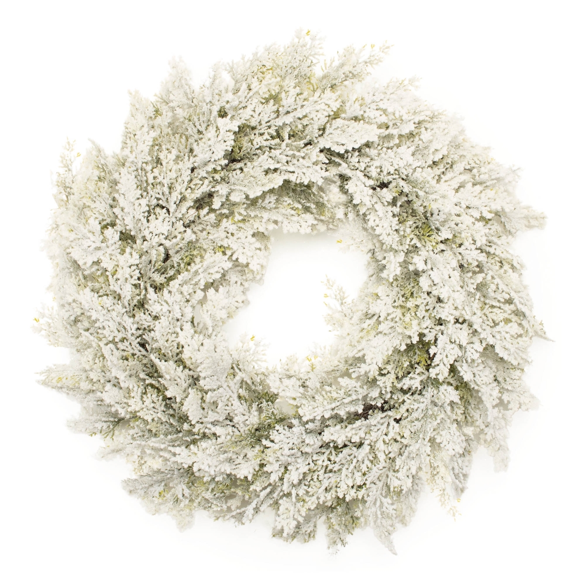 95369DS 24 in. Plastic Flocked Pine Wreath, White & Green
