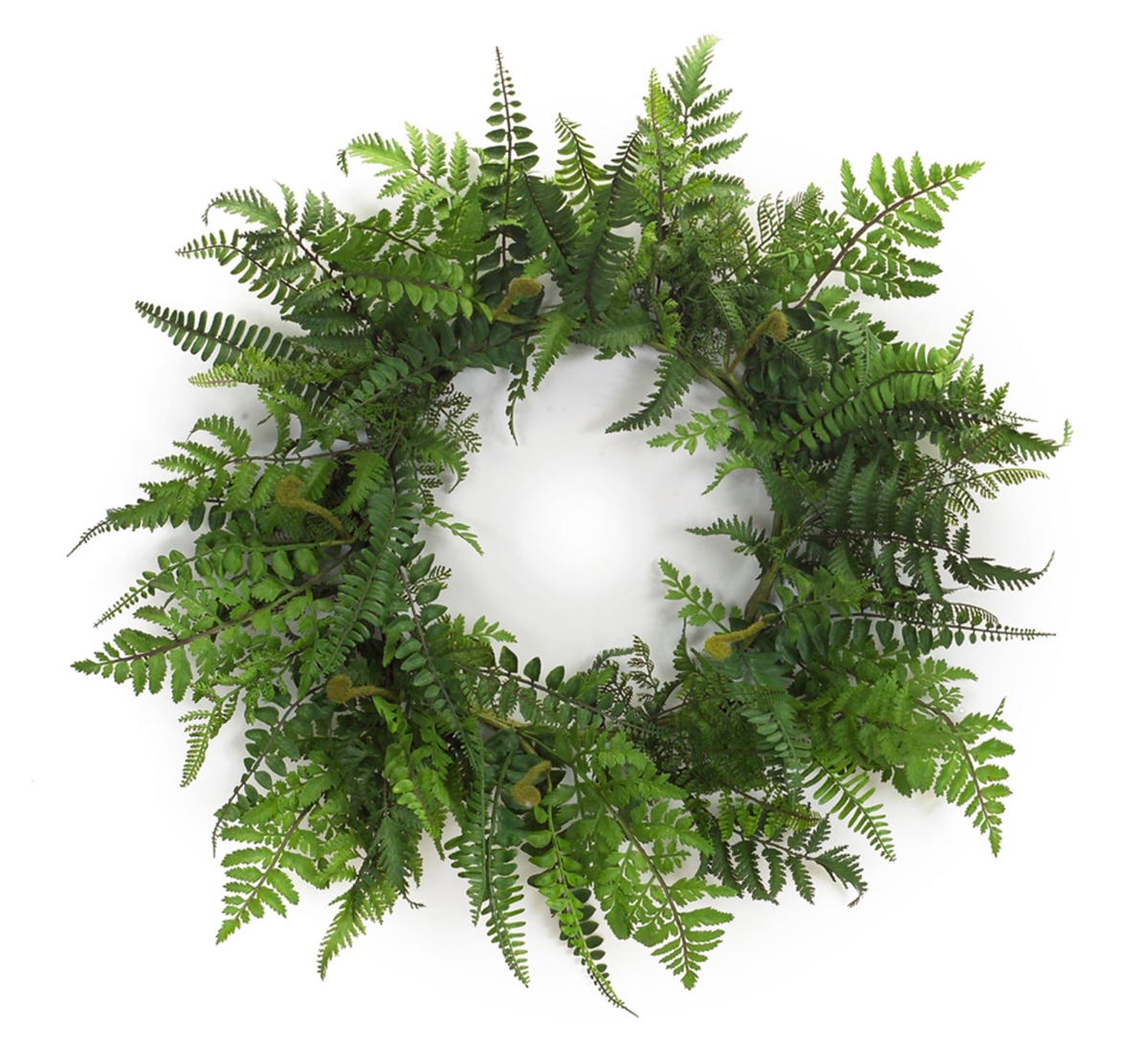 Picture of Melrose International 66599 Fern Wreath