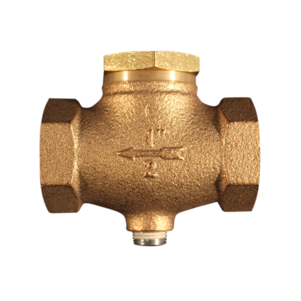 0.5 in. FNPT in Line Check Valve