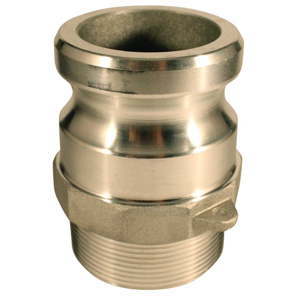 3 in. MNPT F Style Cam & Groove Coupler