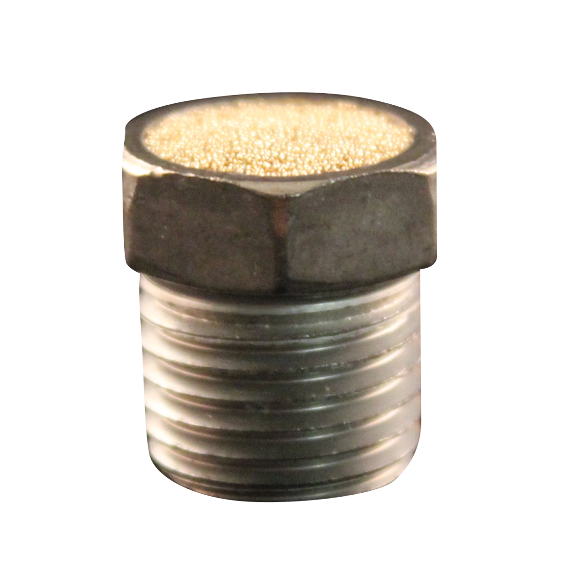 0.25 in. NPT Breather Vent