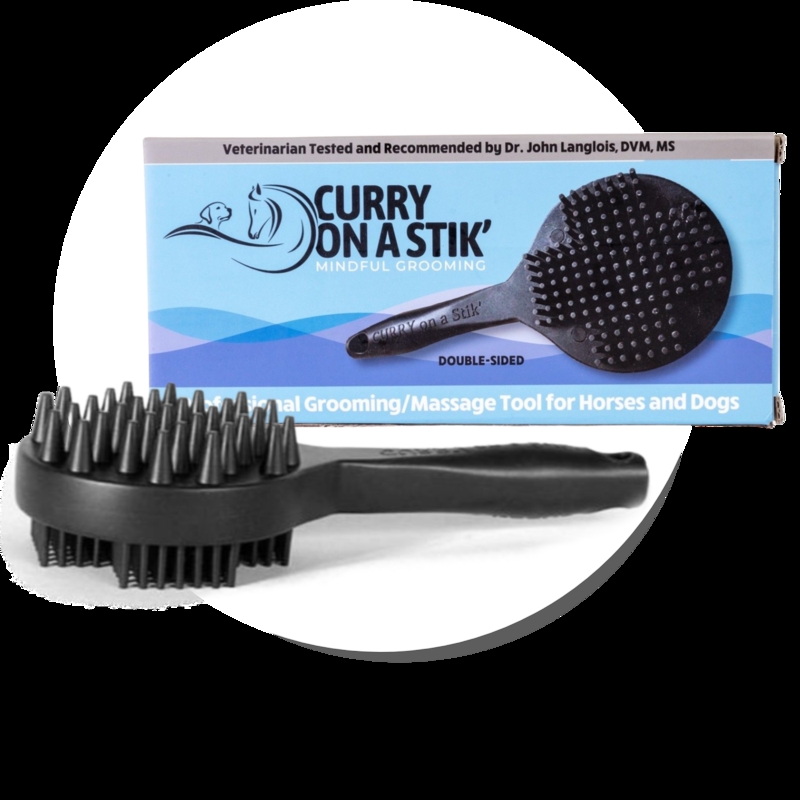 Picture of Curry on a Stik Horse & Dog Grooming Brush