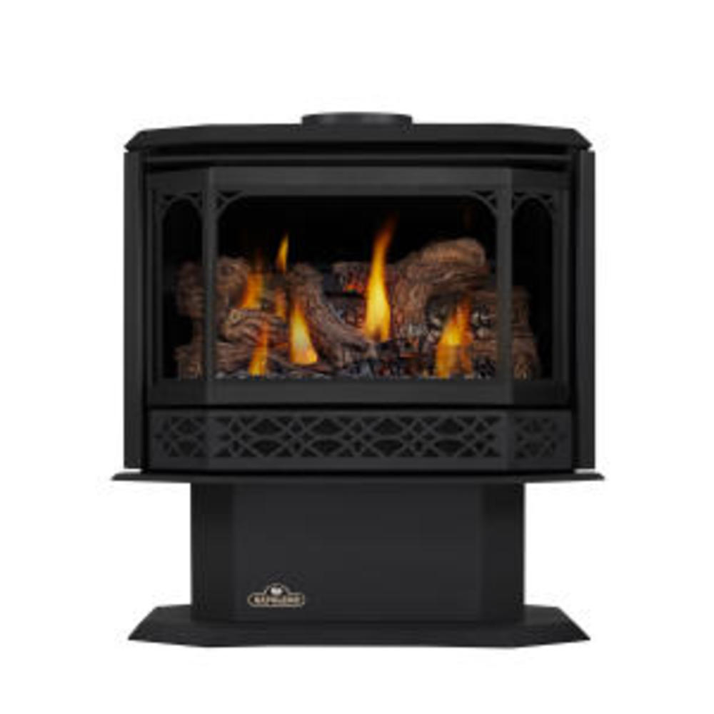Picture of Napoleon GDS50-1NSB Havelock Direct Vent Gas Stove
