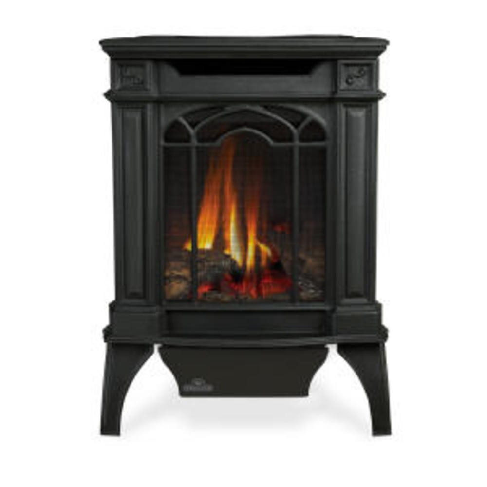 GDS20NSB Arlington Direct Vent Cast Iron Gas Stove -  Napoleon