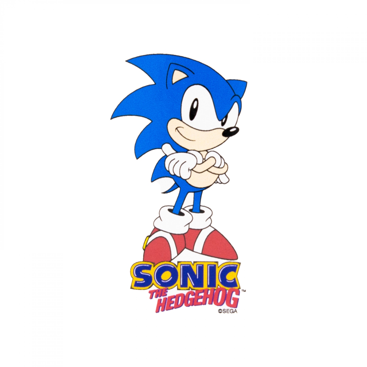 892487 Hedgehog Crossed Arms Vinyl Sticker