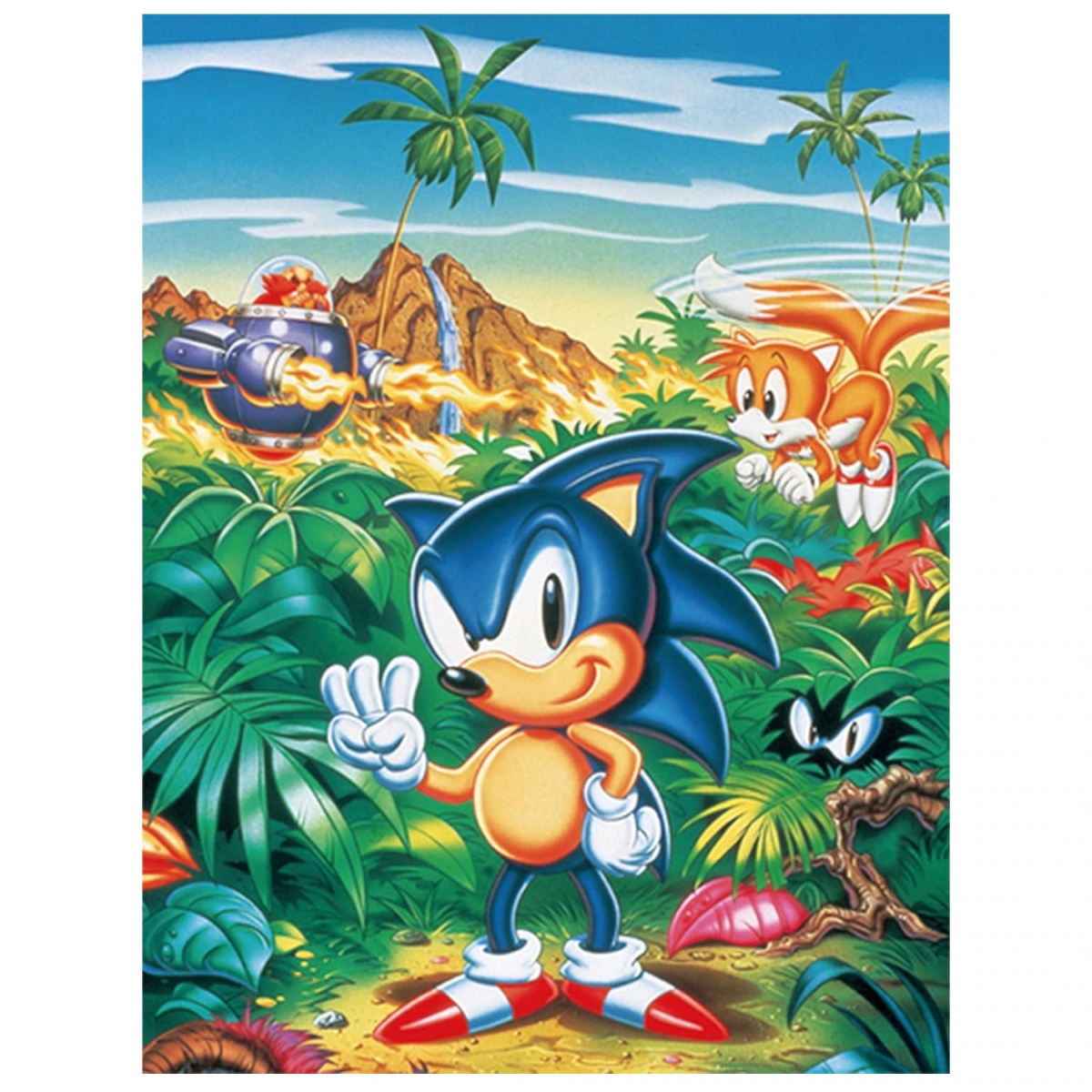 Picture of Sonic 893774 The Hedgehog & Friends on Island Throw Blanket