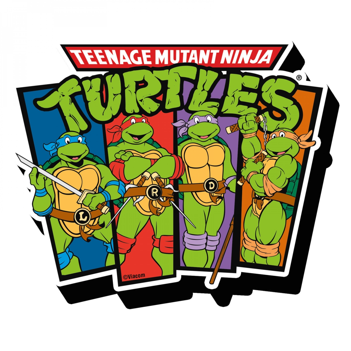 802411  TMNT Characters Magnet