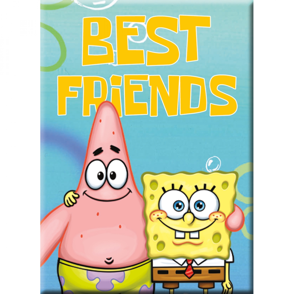 802416  Best Friends Magnet