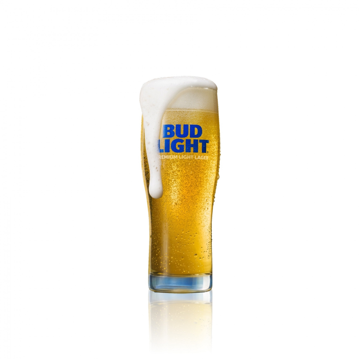 Picture of Bud Light 828732 Signature Glass, Clear