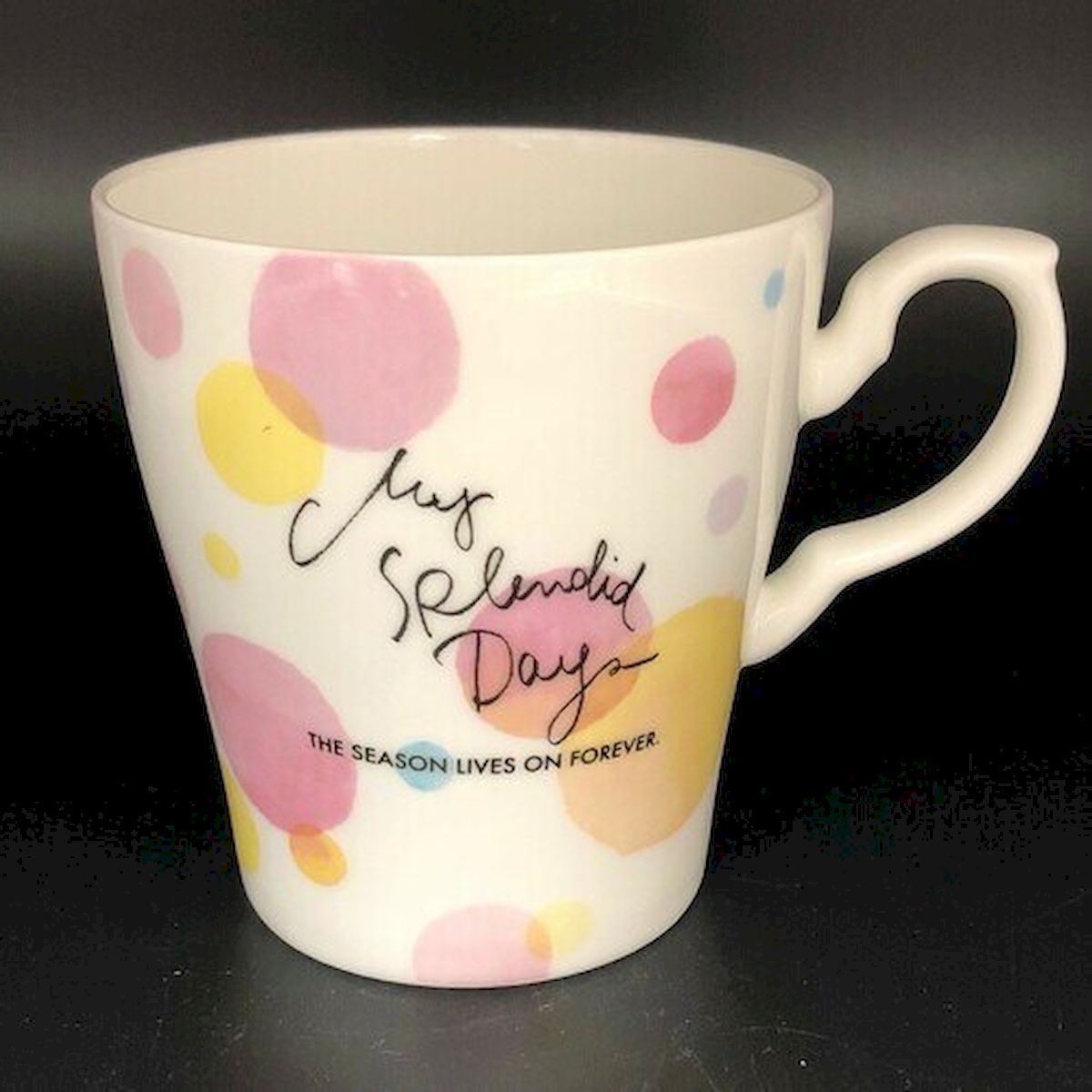 Picture of Mr. MJs HO-JAP-05P My Splendid Day Mug