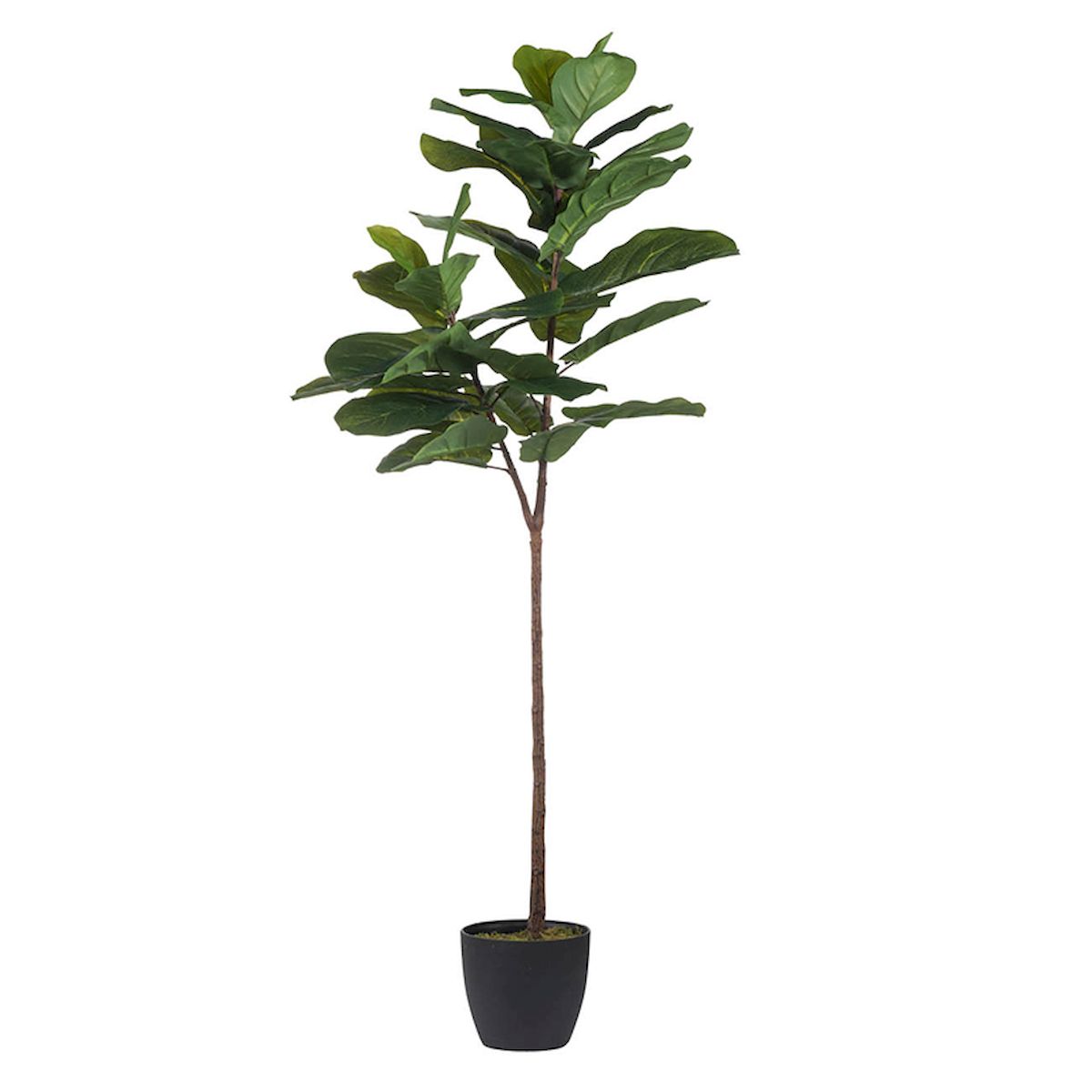 Picture of Mr. MJs CJ-M078HM922300 Faux Potted Green Fiddle Leaf Fig Tree Artificial Flower