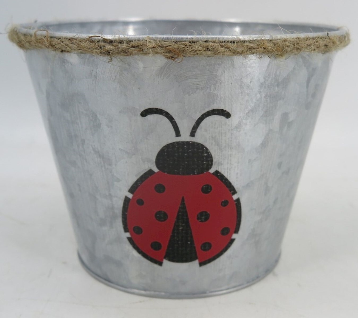 Silver with Red Ladybug Planter