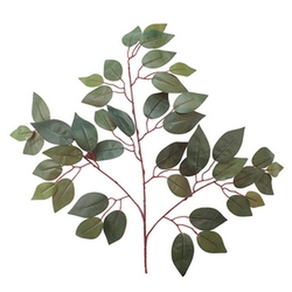 Picture of Mr. MJs CM-AS119BG 22 in. Capensia Ficus Leaf Spray Faux Plants & Trees