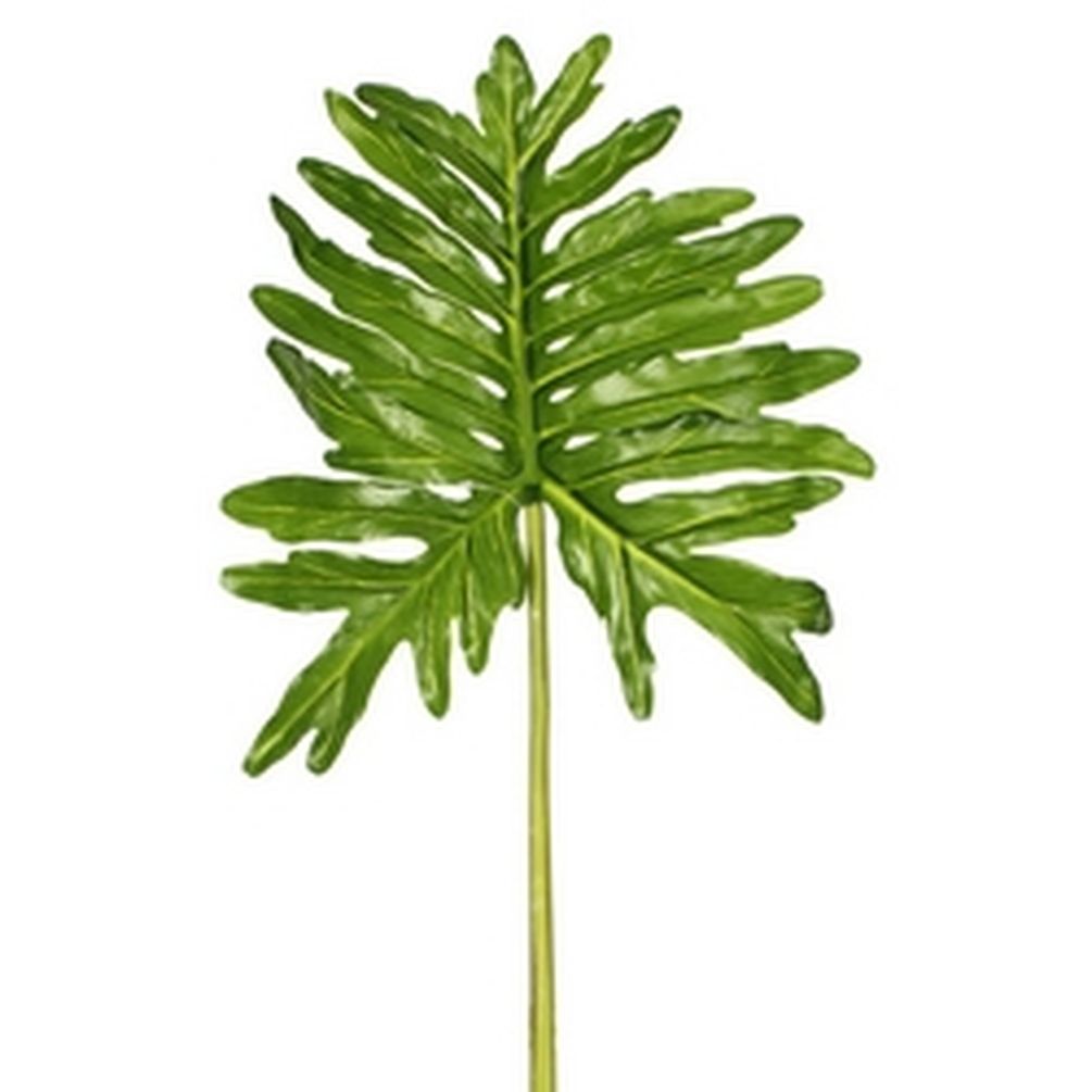 Picture of Mr. MJs CM-AS315GR 36 in. Selloum Leaf Faux Plants & Trees