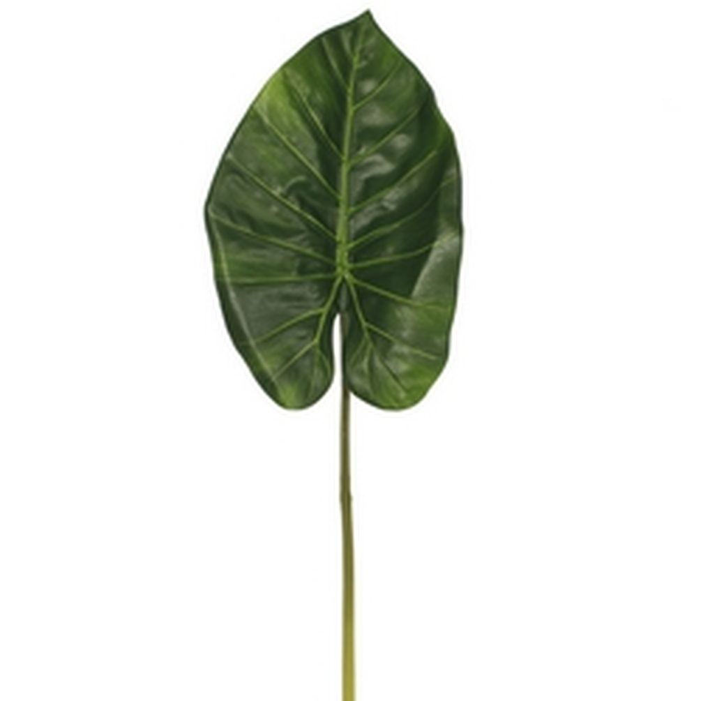 Picture of Mr. MJs CM-AS609GR 23 in. Large Green Calla Lily Leaf Faux Plants & Trees