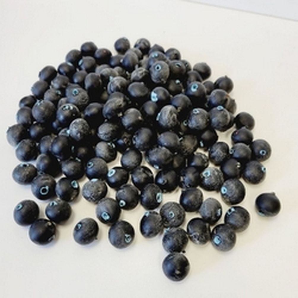 Blueberries Artificial Fruit, Pack of 138