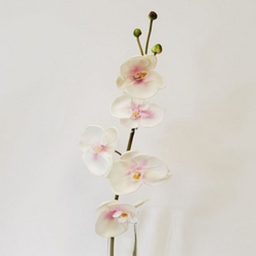 Picture of Mr. MJs CM-FM002CP 38 in. Real Touch White & Pink Phalenopsis Spray Artificial Flowers