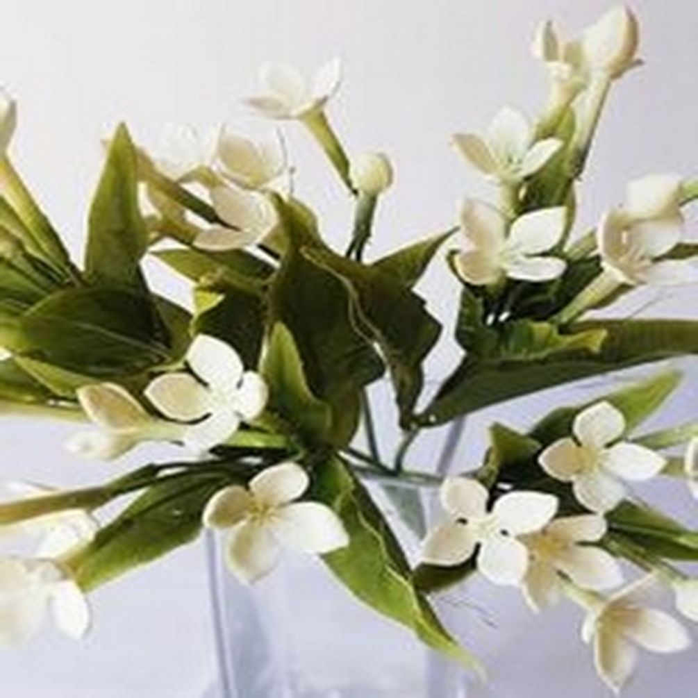 6 White Bouvardia Bush Artificial Flowers