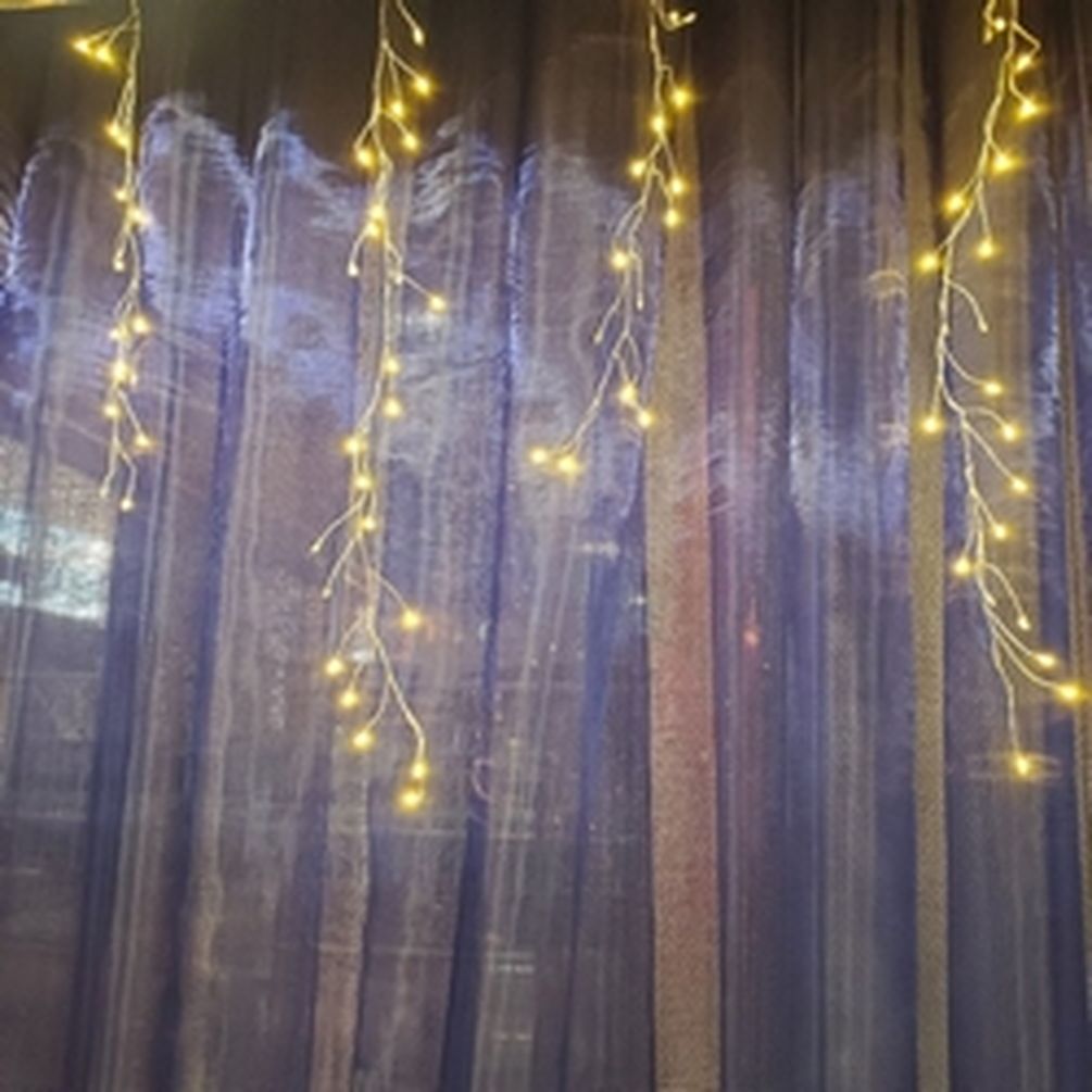 Micro Dot Curtain Light 240 Warm White Light String