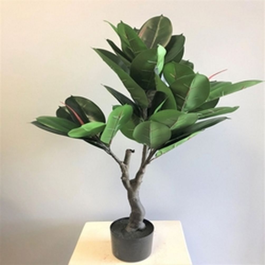 Picture of Mr. MJs CM-OM100GR 40 in. Potted Rubber Plant Faux Plants & Trees